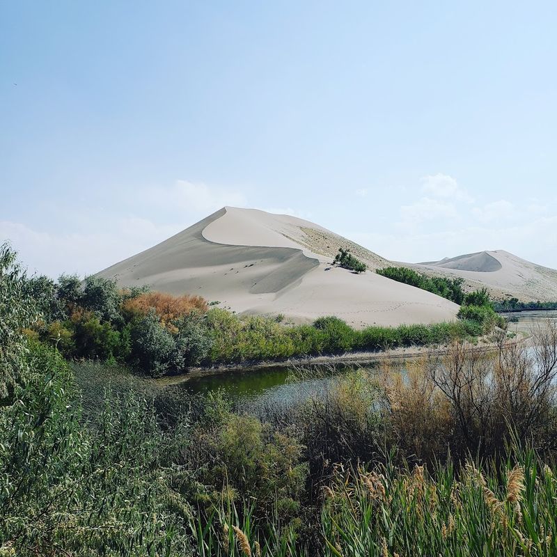 Bruneau Dunes State Park, Bruneau, Idaho Bruneau Dunes State Park, Bruneau, Idaho