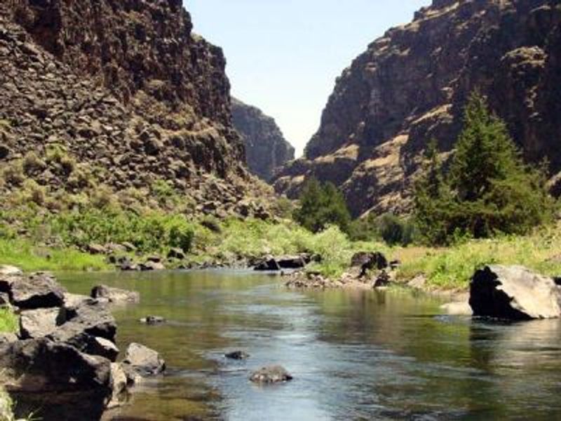 Bruneau River, Bruneau, Idaho