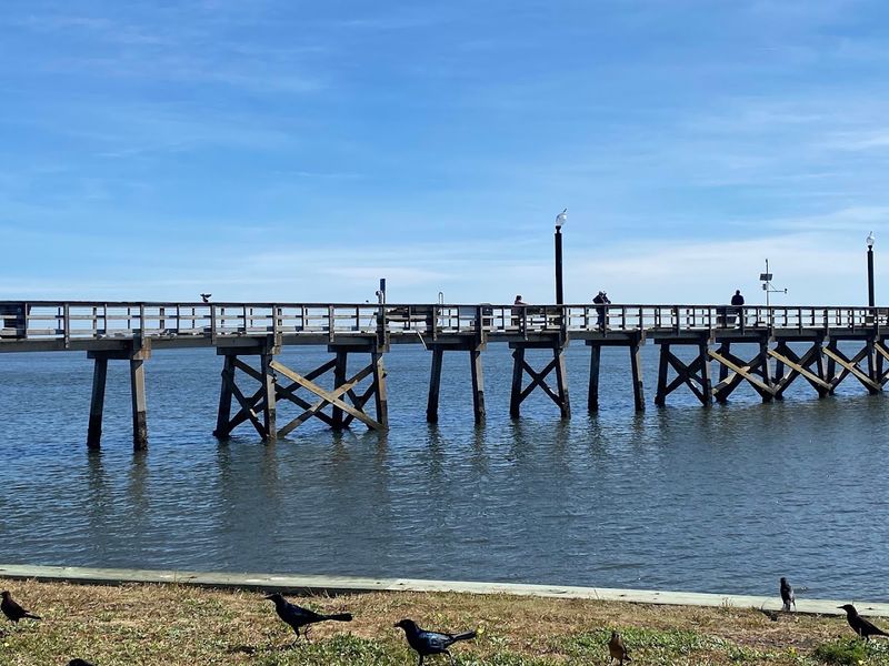 Brunswick County Roots And Coastal Heritage Brunswick County Roots And Coastal Heritage