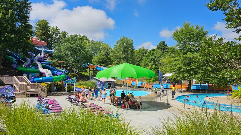Cabanas and Comfort: Upgrading Your Day at the Park Cabanas and Comfort: Upgrading Your Day at the Park