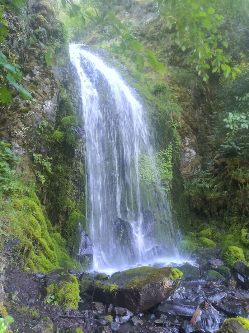 Cabin Creek Falls Along the Trail Cabin Creek Falls Along the Trail