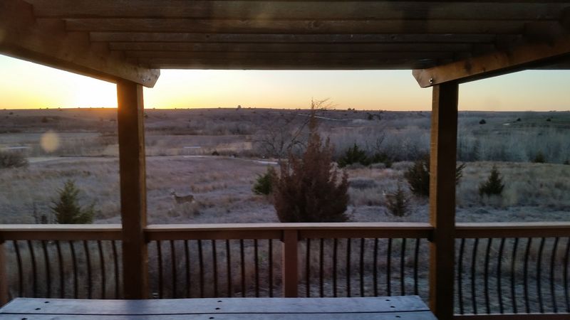 Cabin Rentals That Make the Starry Sky Feel Like a Bonus