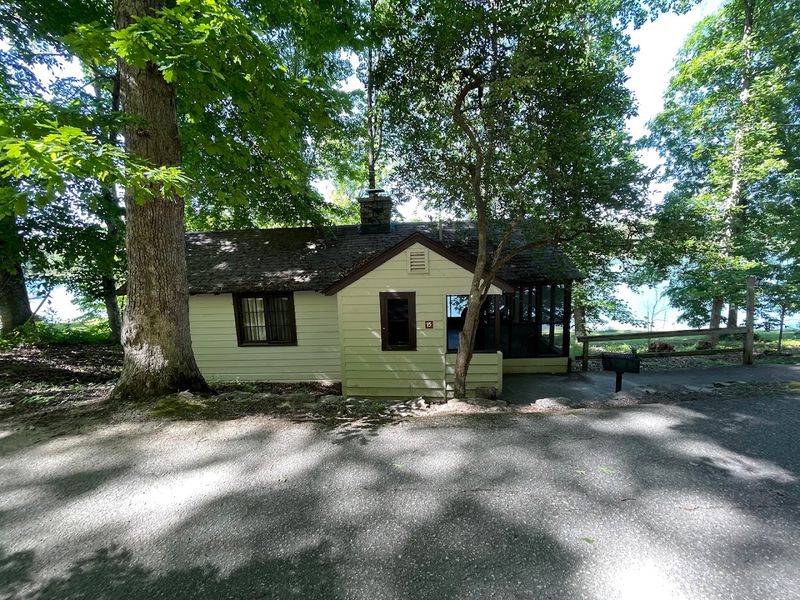 Cabins That Book Up for Good Reason