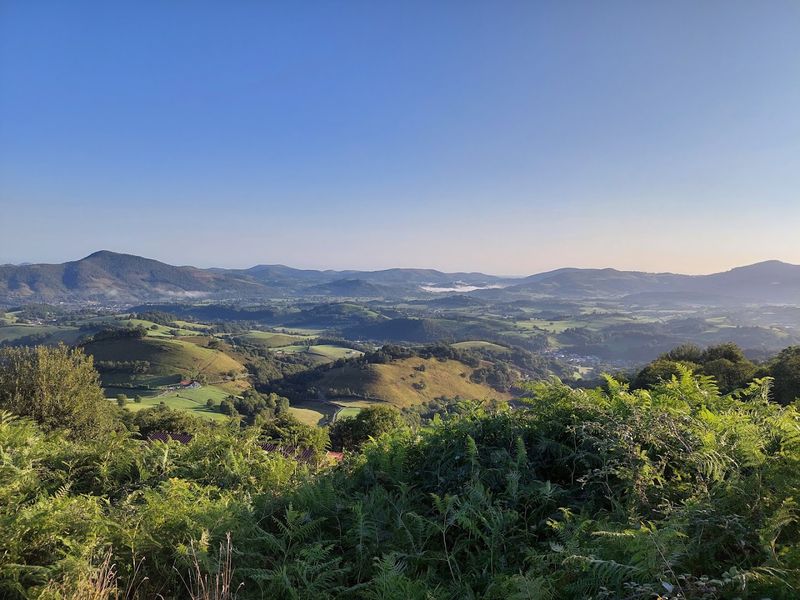 Camino Frances, France and Spain