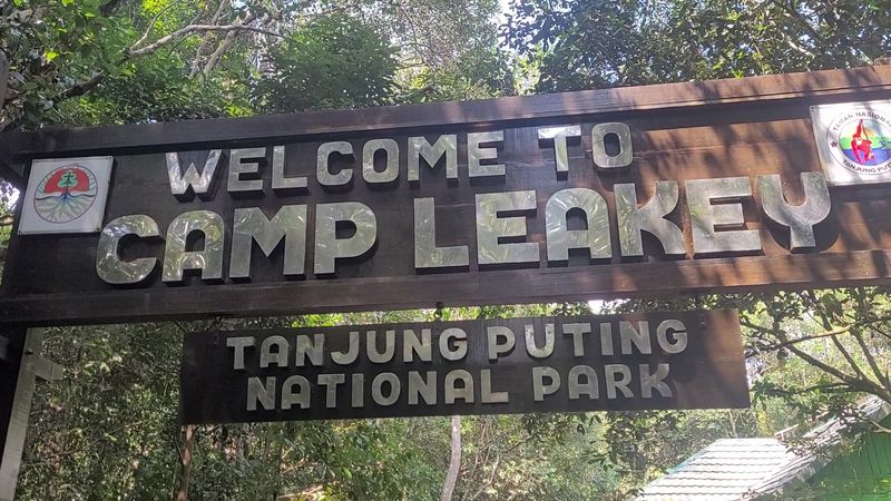 Camp Leakey, Tanjung Puting National Park, Central Kalimantan, Indonesia Camp Leakey, Tanjung Puting National Park, Central Kalimantan, Indonesia