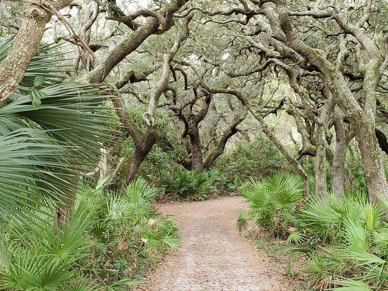 Camp On Cumberland Island Near St. Marys Camp On Cumberland Island Near St. Marys
