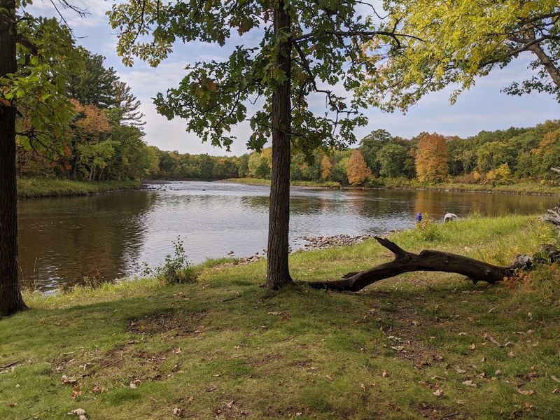 Camping Options Across Three Separate Campgrounds Camping Options Across Three Separate Campgrounds
