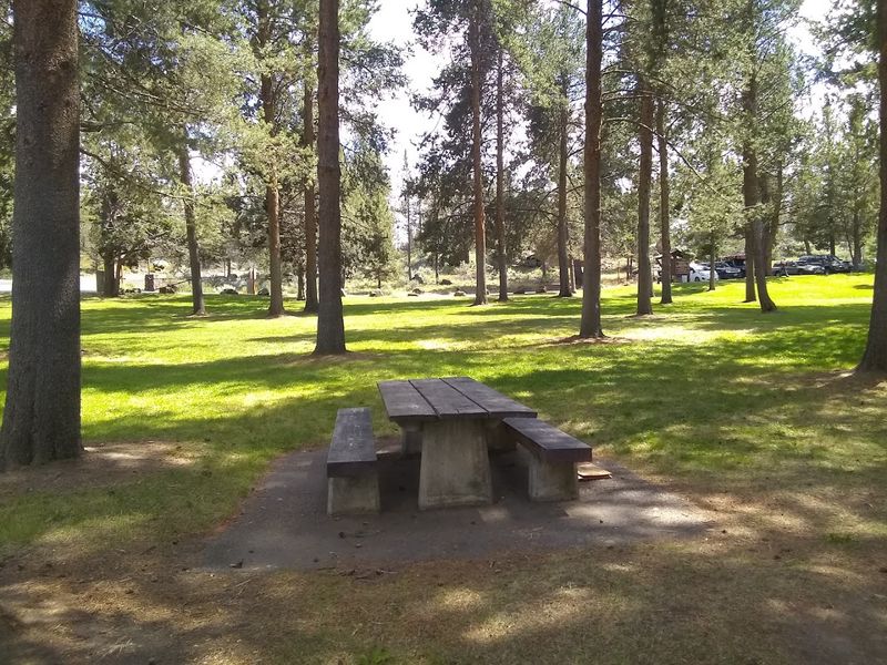 Camping Options That Genuinely Impress