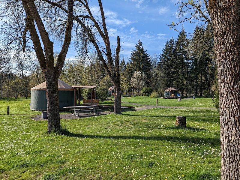 Camping Options for Every Style of Traveler