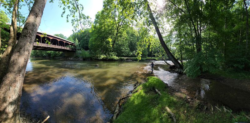 Camping Right Next to the Bridge