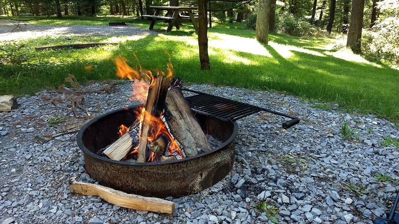 Camping and Cabins: Staying the Night in the Forest Camping and Cabins: Staying the Night in the Forest