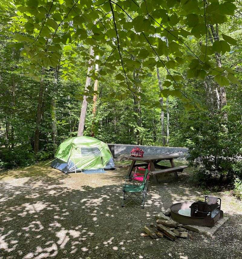 Campsites for Every Style of Sleeper Campsites for Every Style of Sleeper