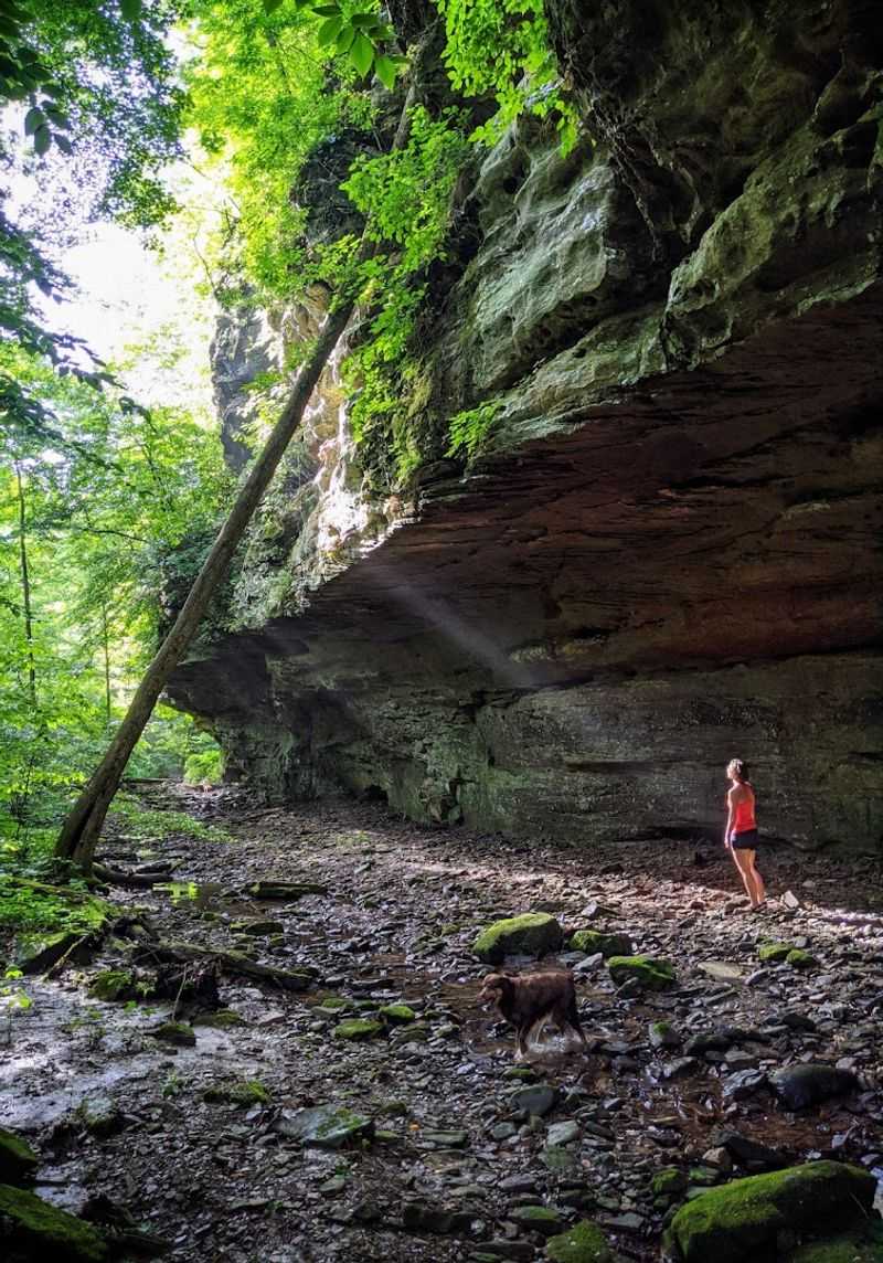 Canyon Geology: Sandstone Cliffs and Ancient Rock Formations Canyon Geology: Sandstone Cliffs and Ancient Rock Formations