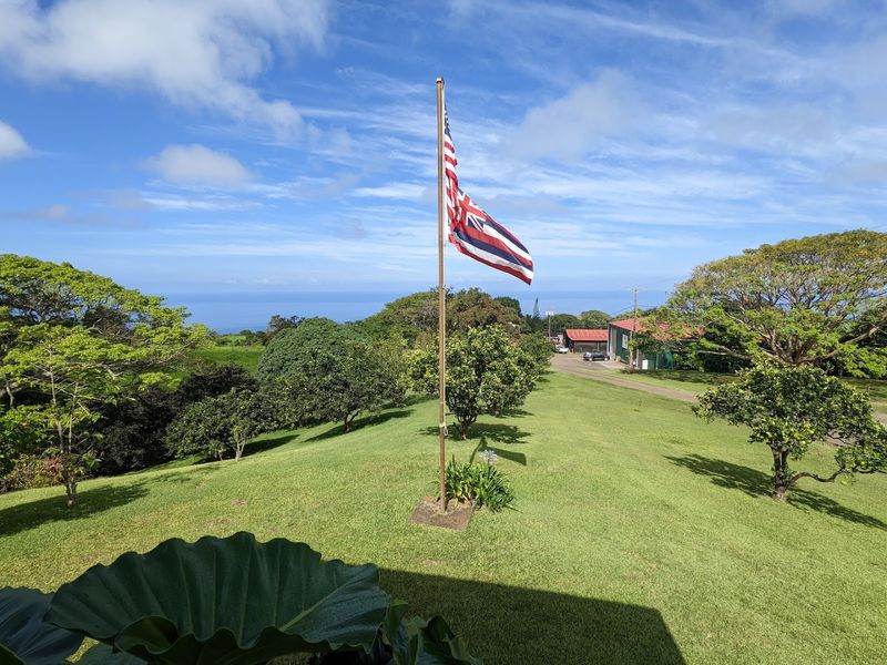 Captain Cook, Hawaii and the Road That Connects It All