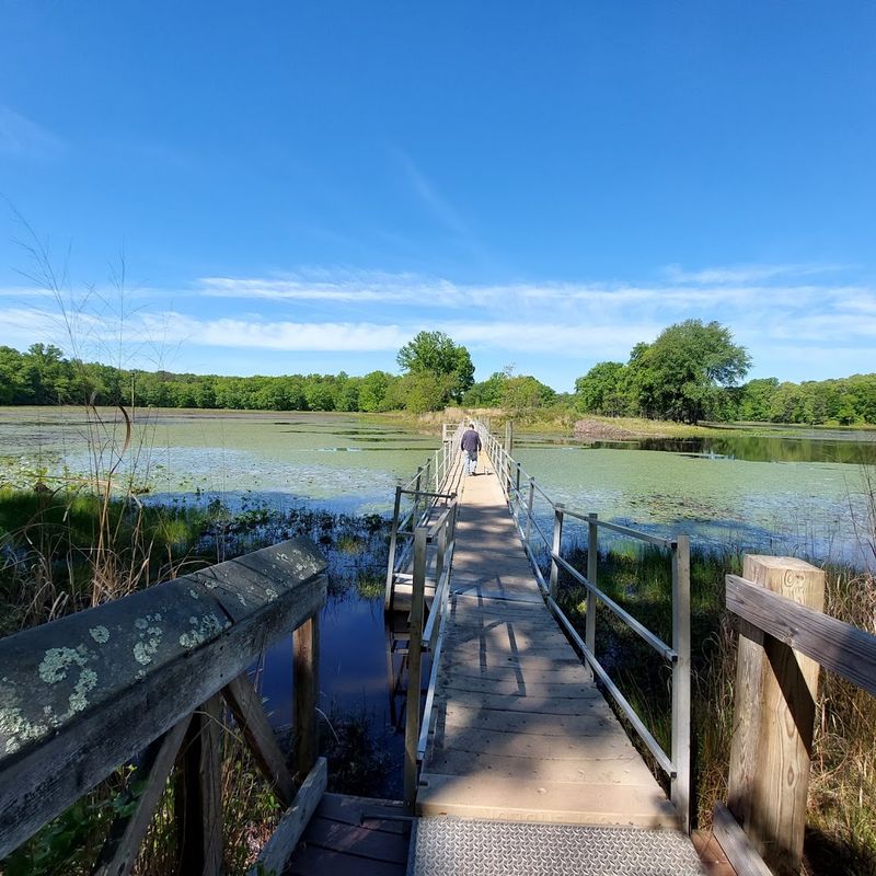 Cash Lake: The Star of the Trail System Cash Lake: The Star of the Trail System