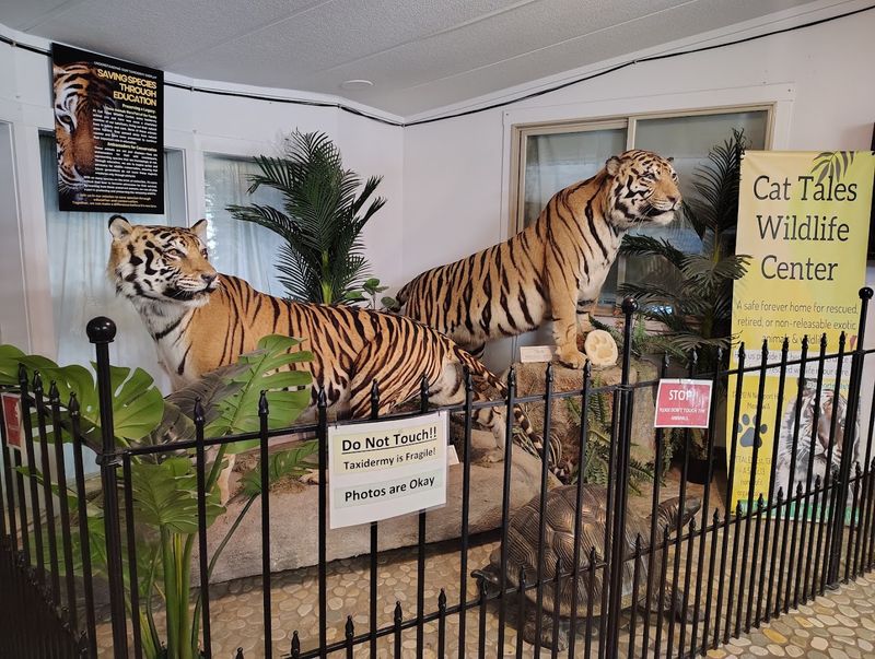 Cat Tales Wildlife Center, Mead, Washington Cat Tales Wildlife Center, Mead, Washington