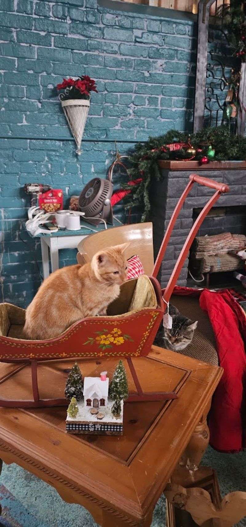 Cats on Patrol Like Tiny Managers Cats on Patrol Like Tiny Managers