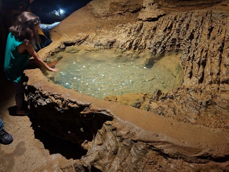 Cave Life Beyond the Rocks Cave Life Beyond the Rocks