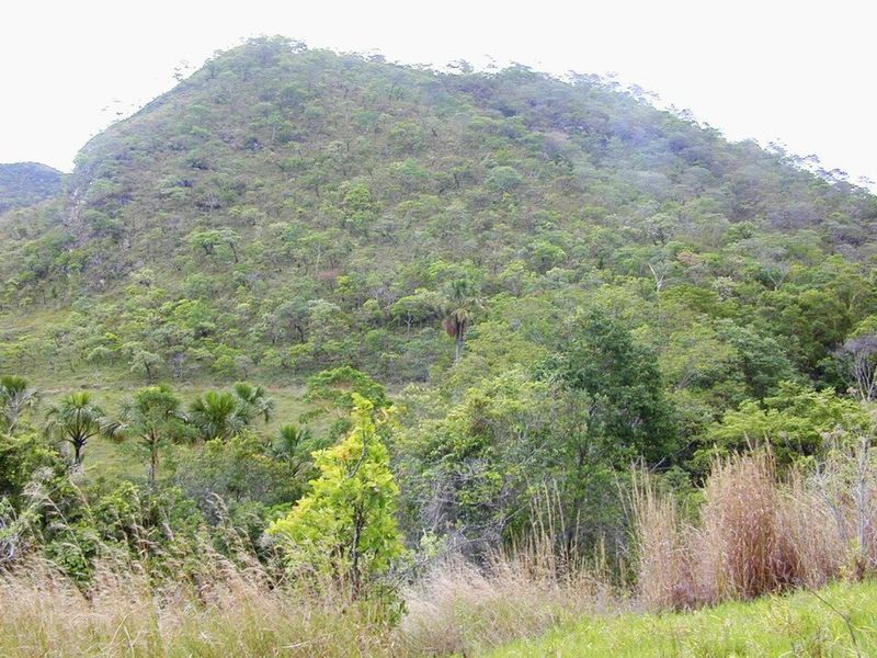 Cerrado, Brazil