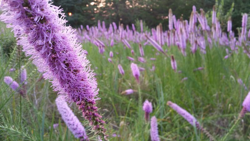 Chalco Hills Recreation Area, Omaha, Nebraska