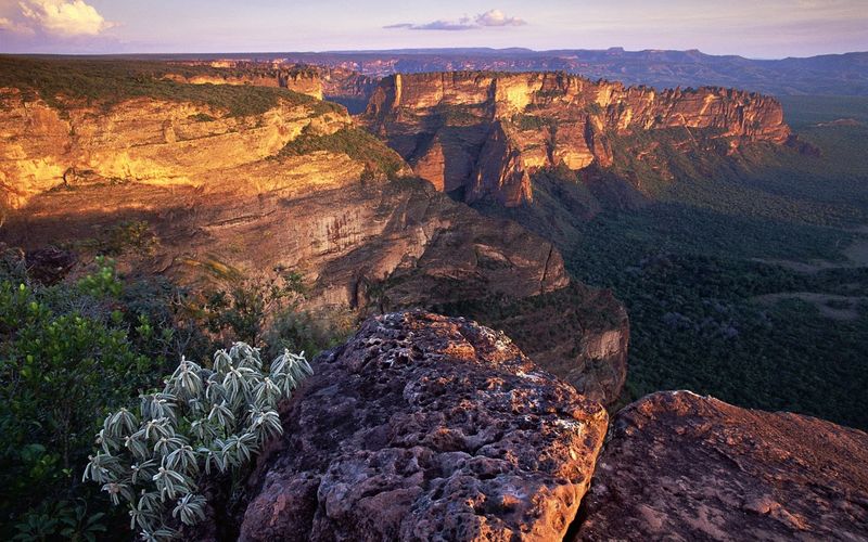 Chapada dos Guimaraes National Park, Brazil