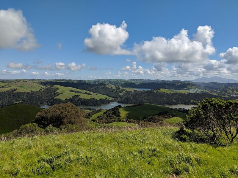 Charles Lee Tilden Regional Park, Berkeley, California