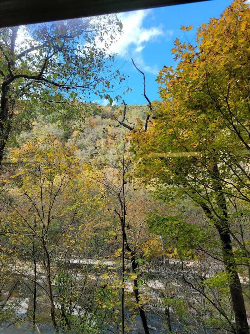 Cherokee National Forest: The Backdrop That Never Gets Old Cherokee National Forest: The Backdrop That Never Gets Old