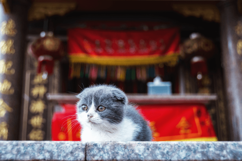 China China
