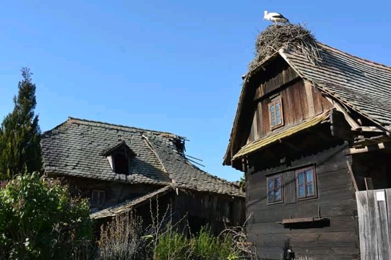 Čigoć, Sisak-Moslavina County, Croatia