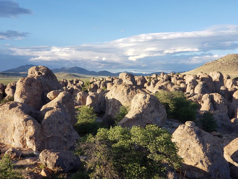 City of Rocks State Park, New Mexico City of Rocks State Park, New Mexico