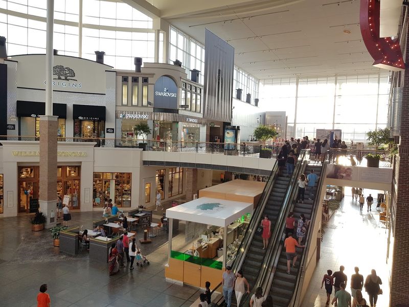 Cleanliness and Overall Atmosphere Cleanliness and Overall Atmosphere