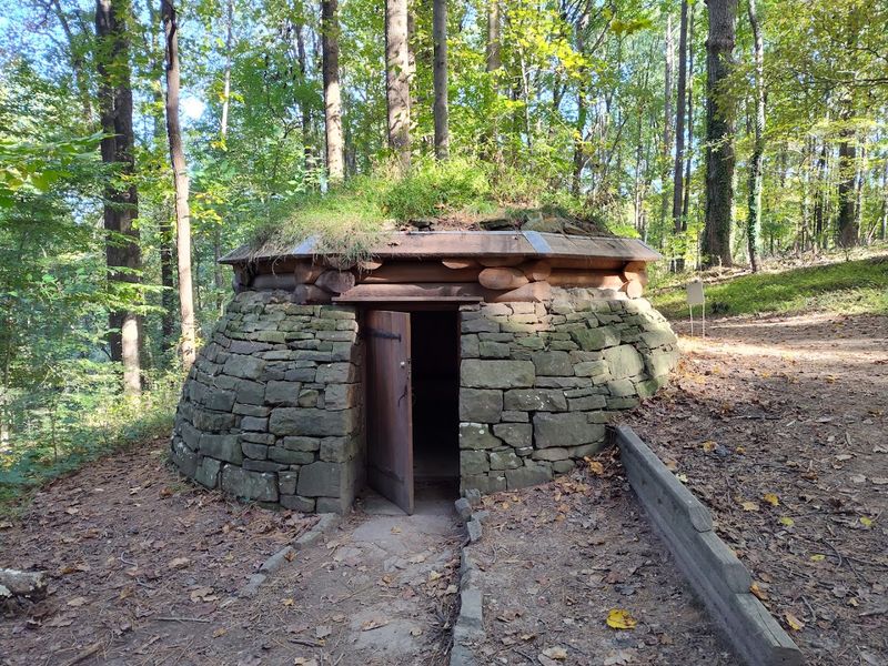 Cloud Chamber for the Trees and Sky — Raleigh, North Carolina Cloud Chamber for the Trees and Sky — Raleigh, North Carolina