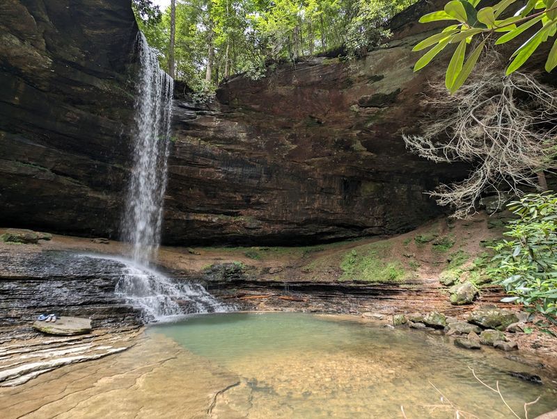 Colditz Cove State Natural Area, Allardt, Tennessee Colditz Cove State Natural Area, Allardt, Tennessee