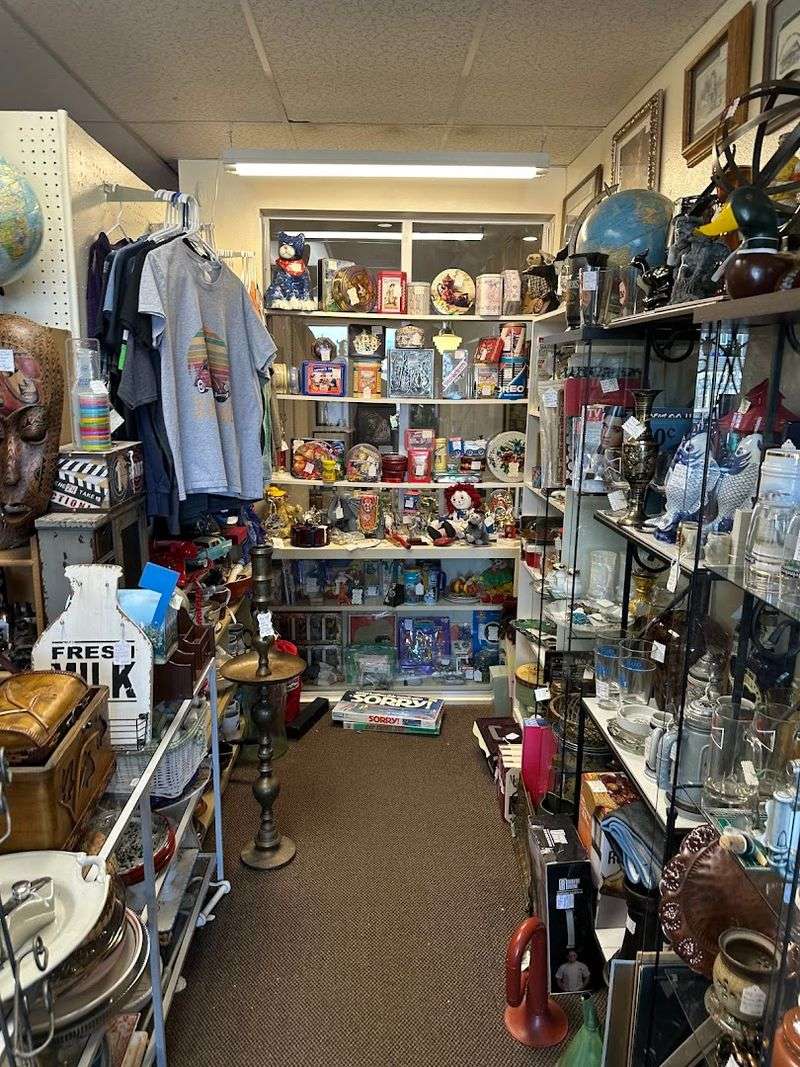 Collectibles for Every Kind of Fan Collectibles for Every Kind of Fan