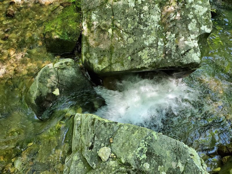 Collier Spring, Norman, Arkansas Collier Spring, Norman, Arkansas