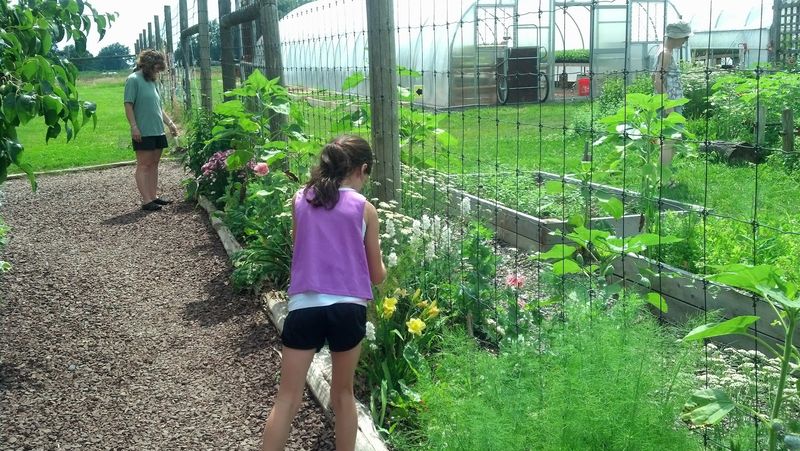 Community Outreach and the Farm's Commitment to Fighting Food Insecurity Community Outreach and the Farm's Commitment to Fighting Food Insecurity