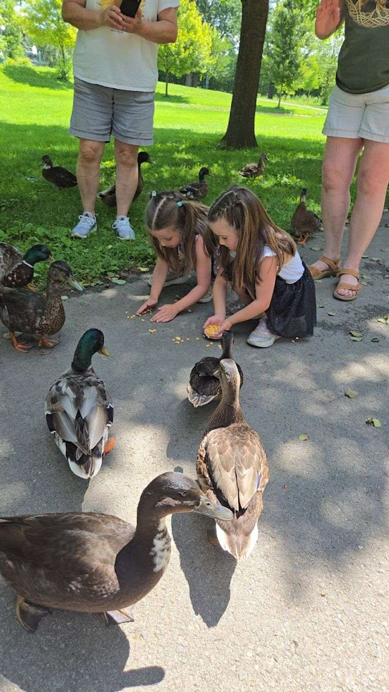 Community Spirit, National Night Out, and What Keeps It All Running