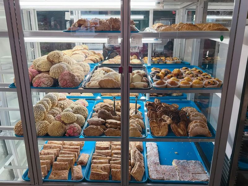 Conchas: The Signature Bake Worth Traveling For Conchas: The Signature Bake Worth Traveling For