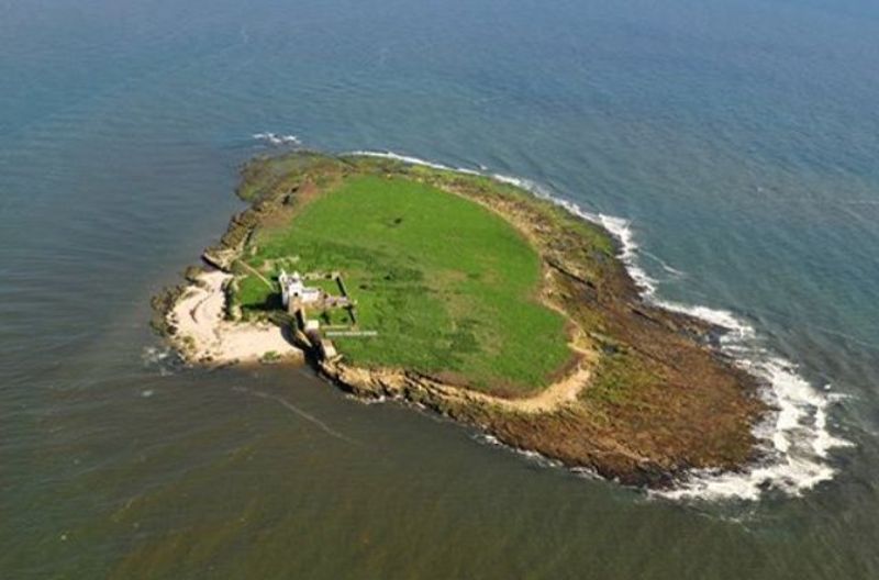 Coquet Island, Amble, Northumberland, England, United Kingdom
