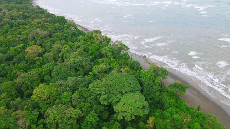 Corcovado National Park, Osa Peninsula, Costa Rica Corcovado National Park, Osa Peninsula, Costa Rica