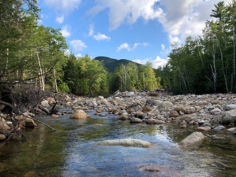 Crawford Notch State Park Dry River Campground, Hart's Location, New Hampshire Crawford Notch State Park Dry River Campground, Hart's Location, New Hampshire