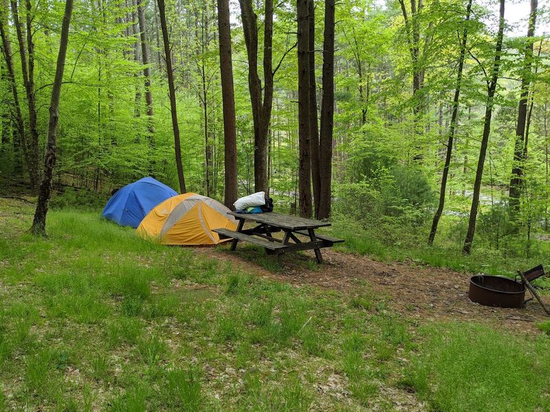 Creekside Campsites That Actually Deliver on the Promise