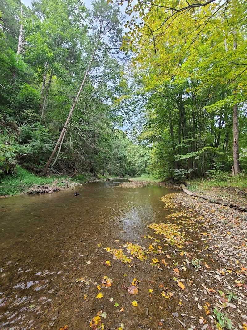 Creekside Paths That Make Summer Feel Manageable Creekside Paths That Make Summer Feel Manageable