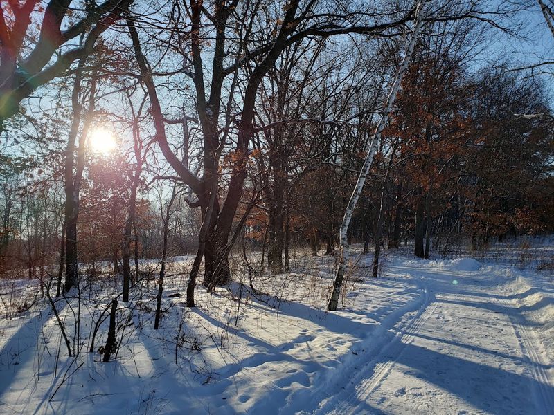 Cross-Country Skiing When Winter Arrives Cross-Country Skiing When Winter Arrives
