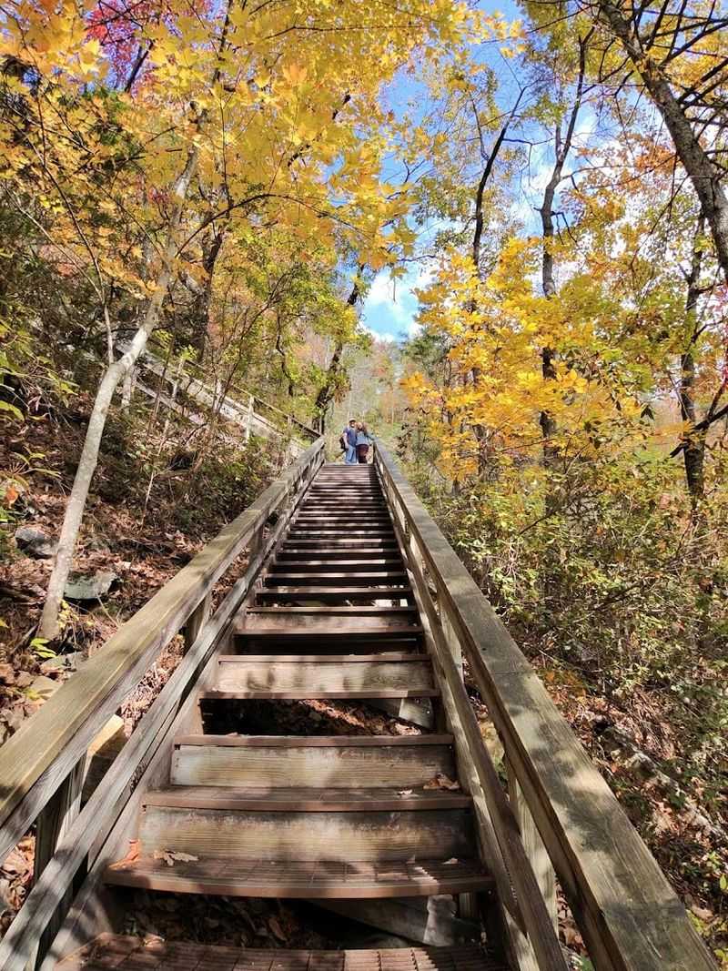 Cross The Suspension Bridge At Tallulah Gorge Cross The Suspension Bridge At Tallulah Gorge