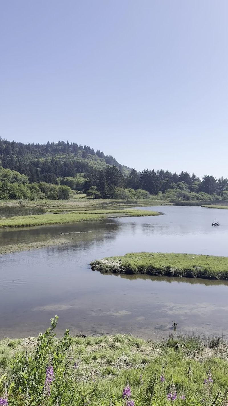 Crossing the Dike: Freshwater on One Side, Salt Marsh on the Other Crossing the Dike: Freshwater on One Side, Salt Marsh on the Other