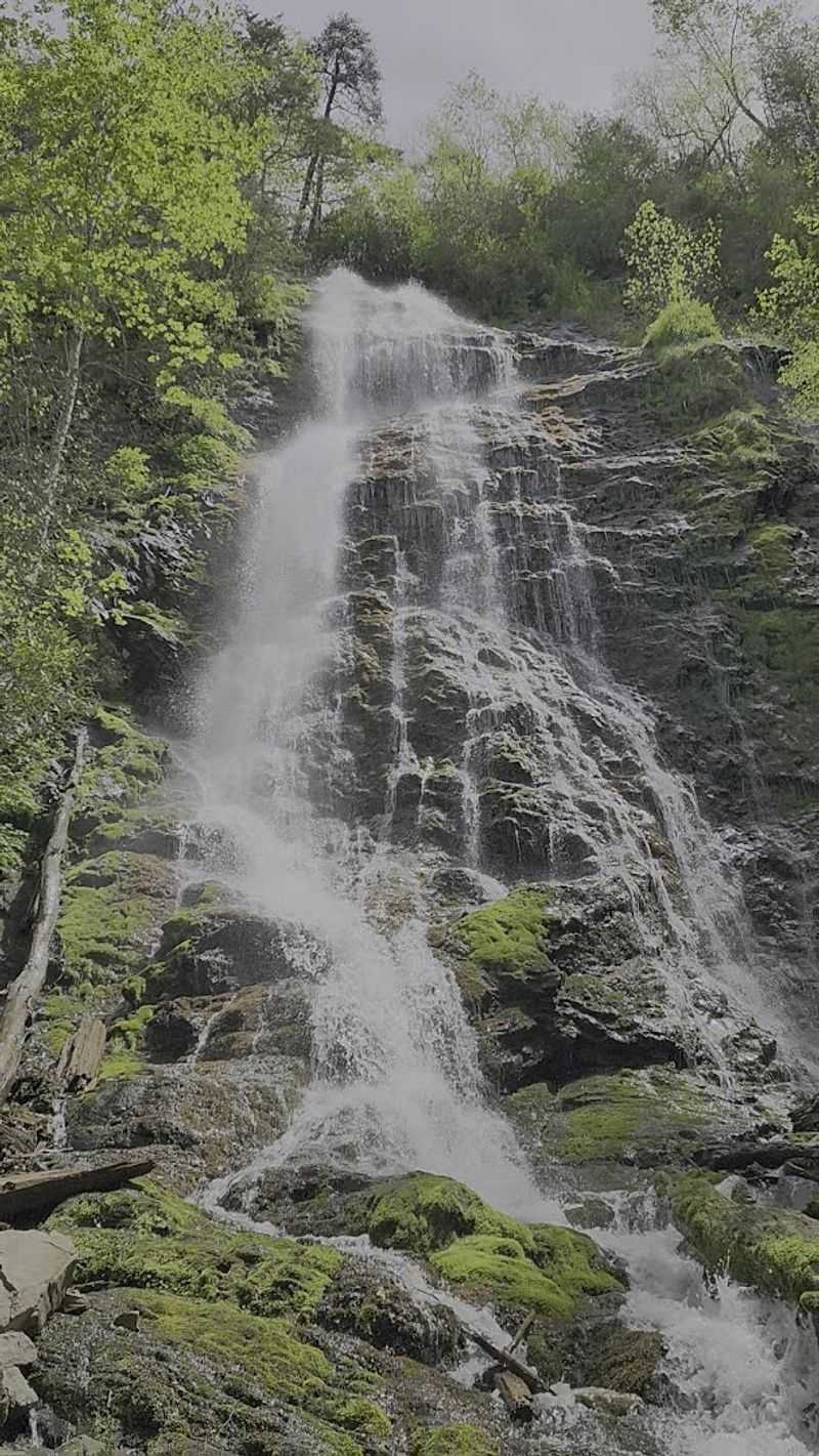 Cultural Significance: The Cherokee Connection