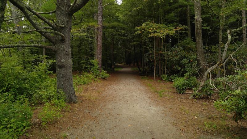 Cycling Through the Carriage Paths