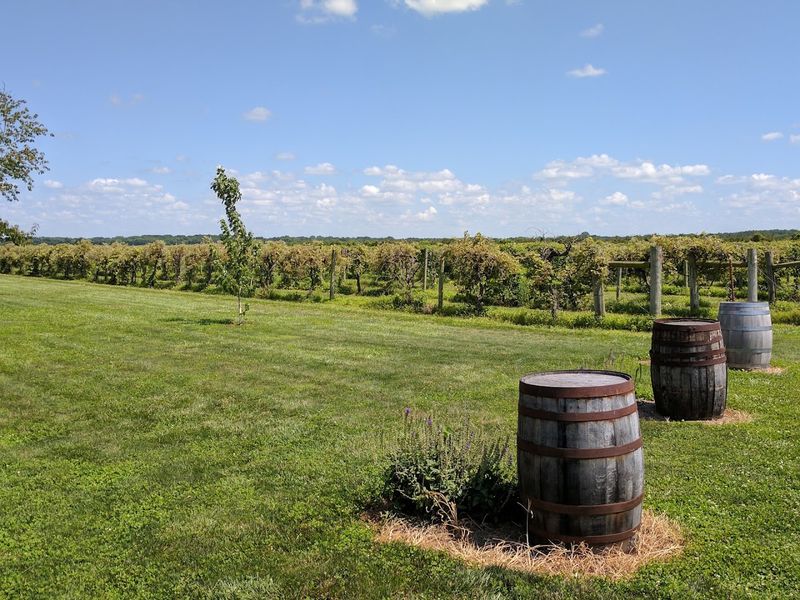 Davenport Orchards & Winery, Eudora, Kansas Davenport Orchards & Winery, Eudora, Kansas
