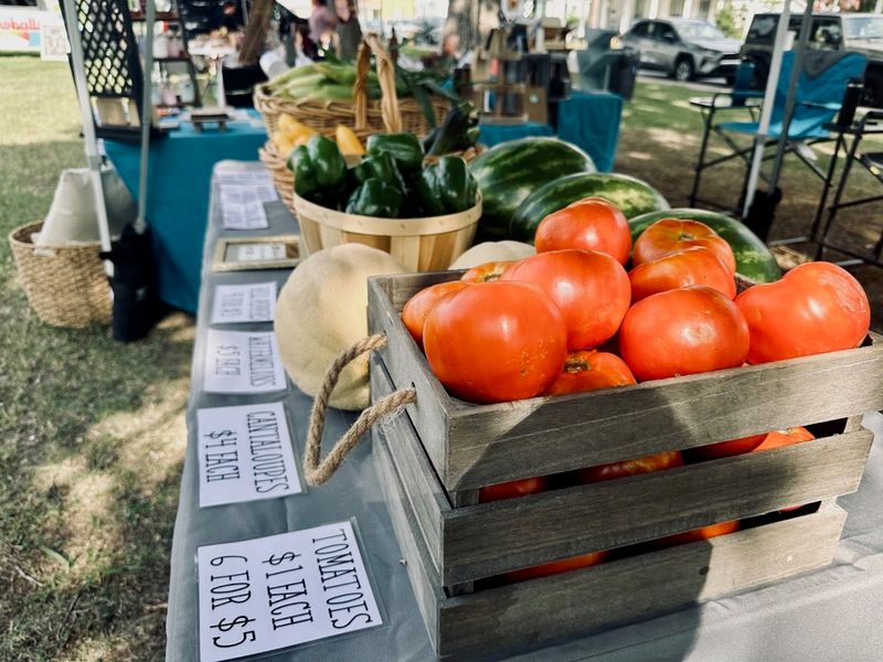 Delmar Farmers and Artisans Market, Delmar, Delaware